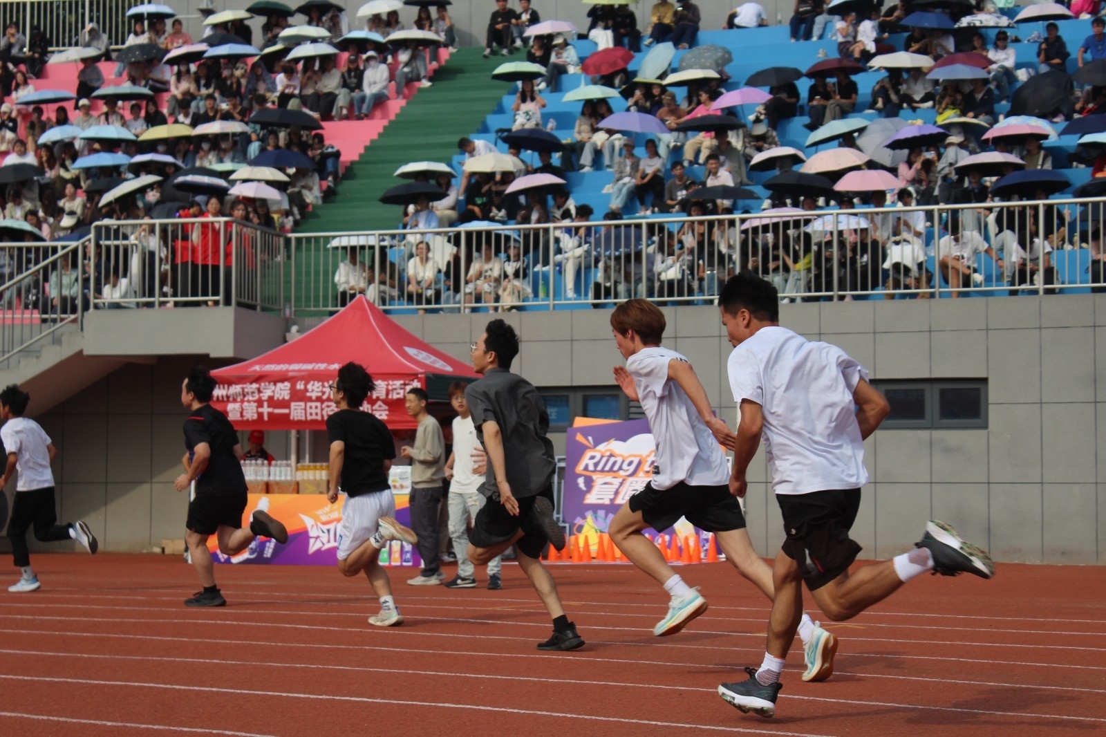 IMG_8361.JPG IMG_8361.JPG