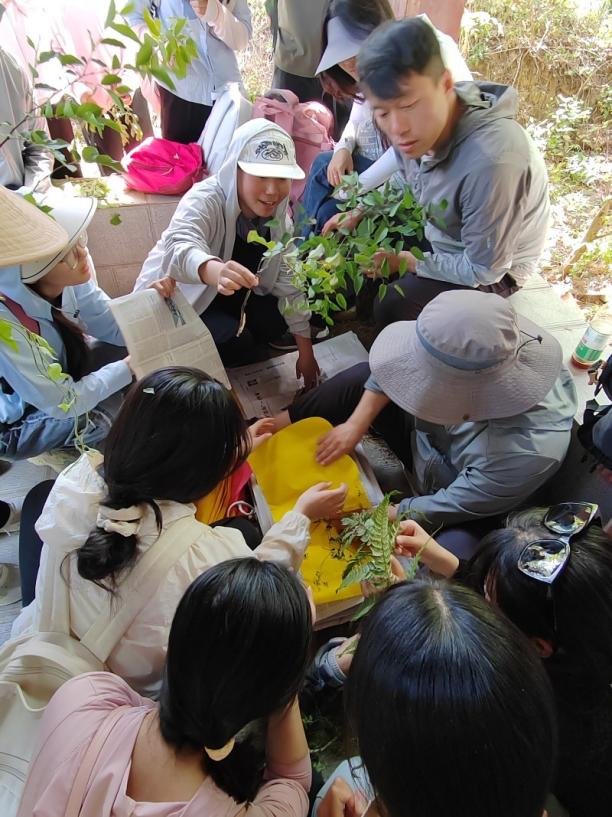 图片3.png 图片3.png