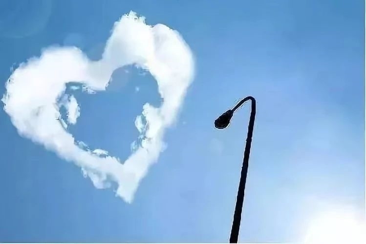 2023.11.1.jpg 2023.11.1.jpg