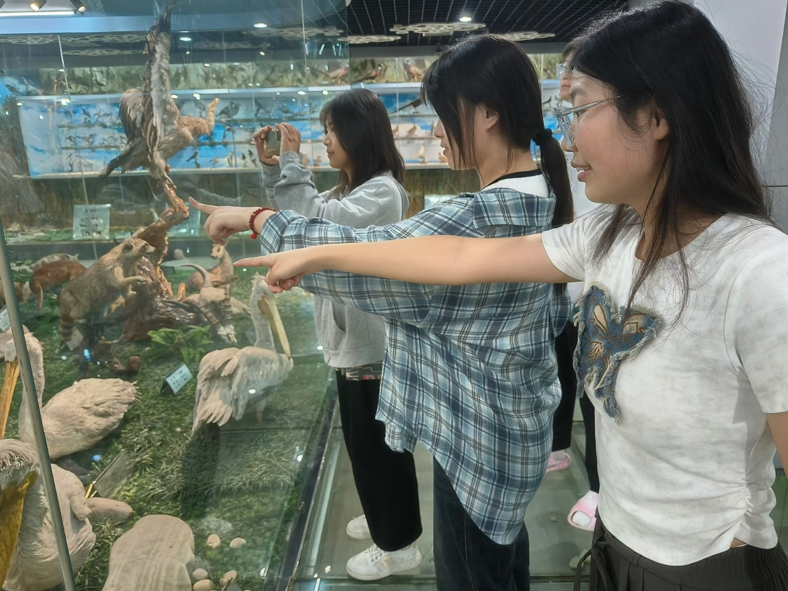 微信图片_20240920155838.jpg 微信图片_20240920155838.jpg