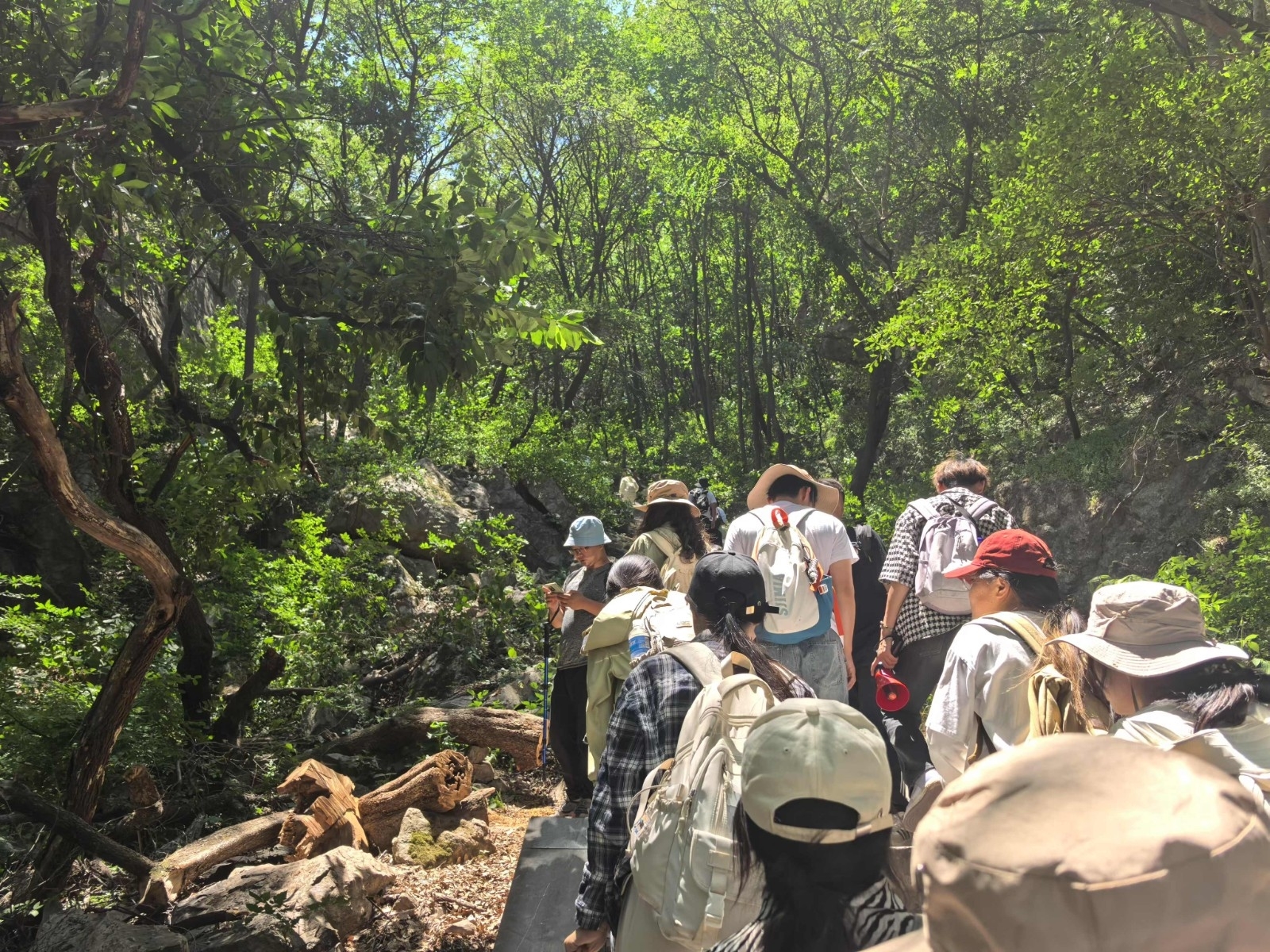 微信图片_20250609194959.jpg 微信图片_20250609194959.jpg